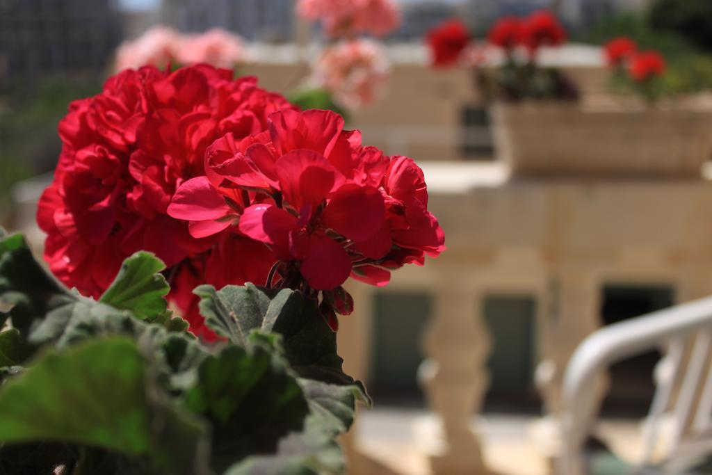 Saint Julian's Giljana Ensuite Rooms Shared Terrace & Kitchen חדר תמונה